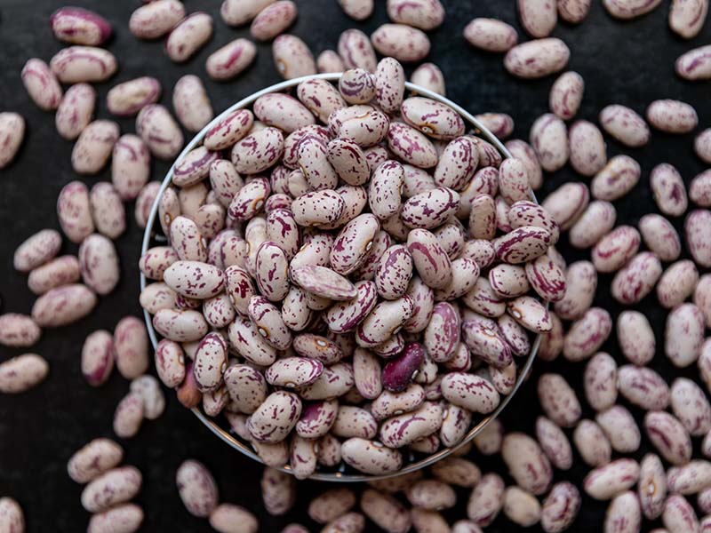 Beans seed