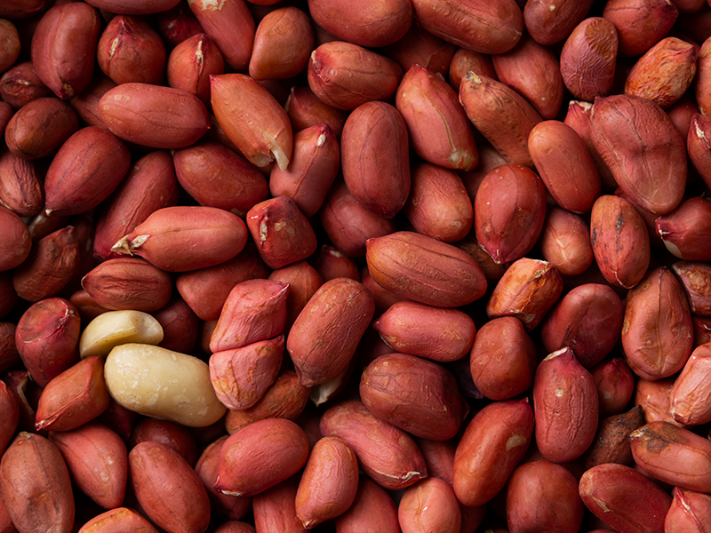 Groundnuts seed