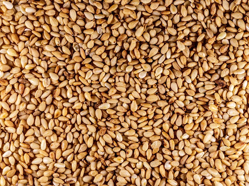 Sesame seed
